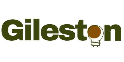 Gileston ~ The Home of Affordable Websites, Starting from Tshs 300,000/=